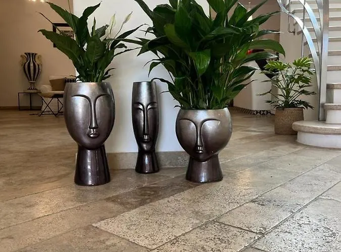 أورسا ماغيوري