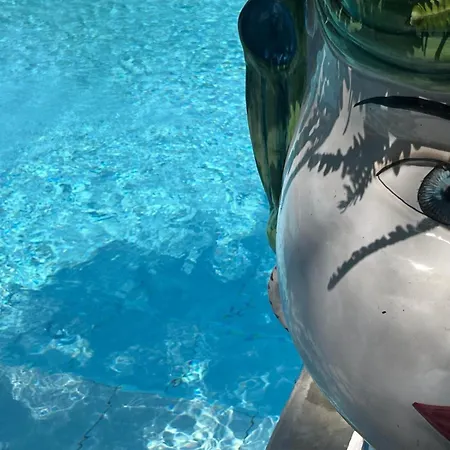 Orsa Maggiore Anacapri (Isola di Capri)