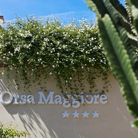 Orsa Maggiore