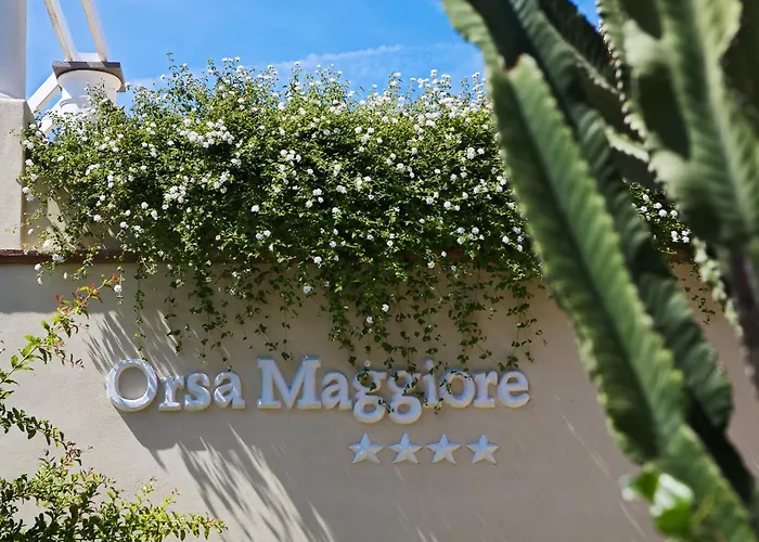 Orsa Maggiore