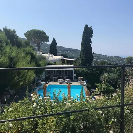 Orsa Maggiore