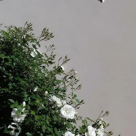 Szálloda Orsa Maggiore Anacapri