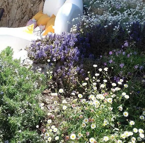 オルサ マッジョーレ